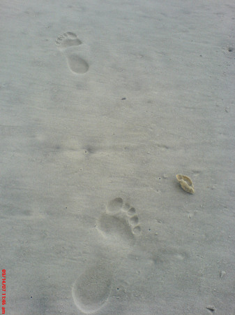 footsteps_in_the_sand