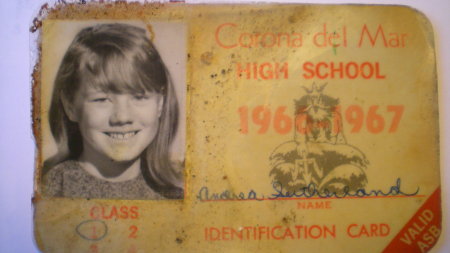 Andrea Sutherland's Classmates profile album