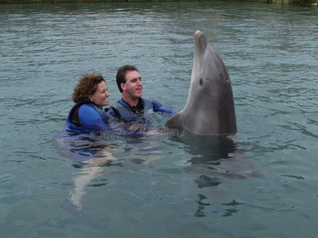 Dolphin Quest