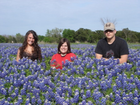 Bluebonnets