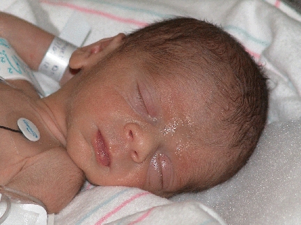 Joshua Michael DeMinico