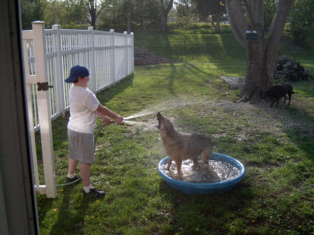 Back yard dog wash.