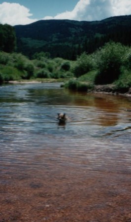 Chelsea, Best Swimming Hole, Steamboat Springs