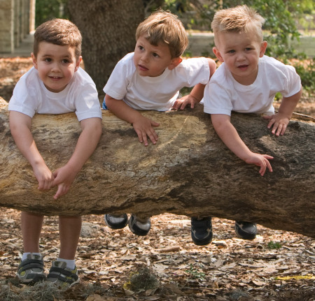 Bumps on a Log