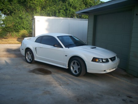 2000 Mustang Gt