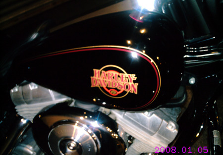 Cindy's Harley Hog!  January 2008