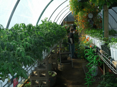 greenhouse feb 2011