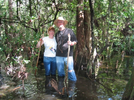 Everglades swamp walk