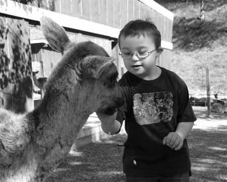 Austin at the petting zoo 2008