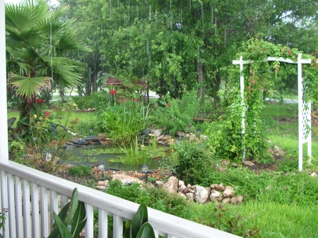 Our front yard, last July(2007)