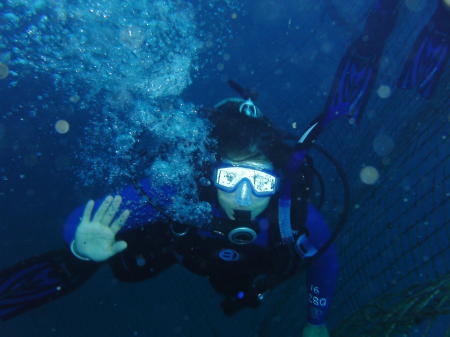 whale shark dive 010