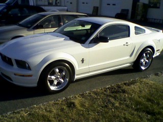 2007 mustang