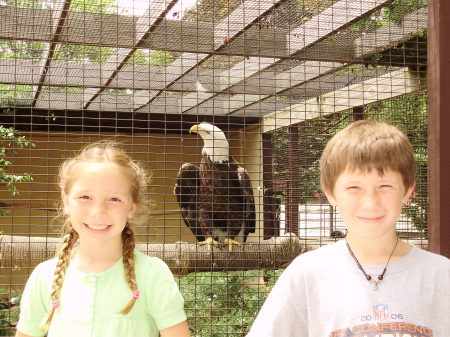 Brookfield Zoo--June '08