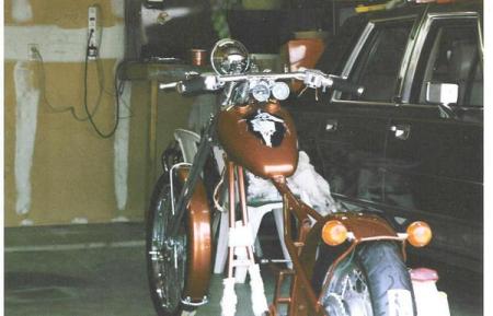 Trying to get it ready to ride 1999