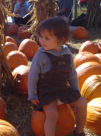 pumpkin farm-halloween 2007 009