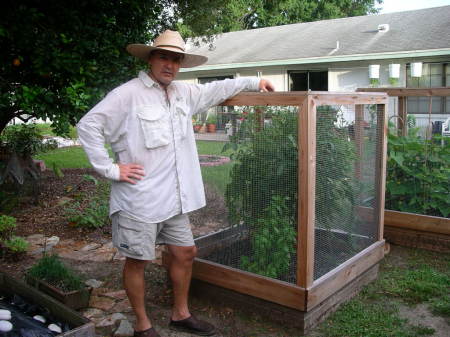 Squirrel-proof raised garden bed...