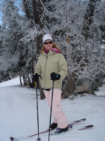 Skiing 2007