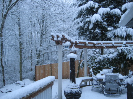 Snowday in January 2008
