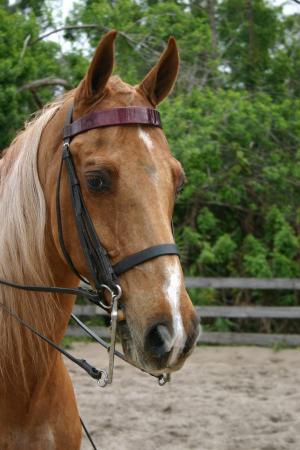 Such a handsome boy!