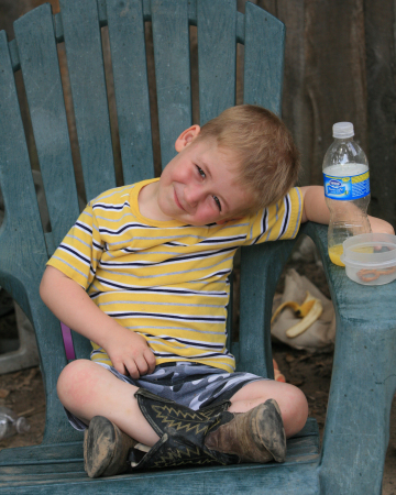 sammy 3 yrs at the barn