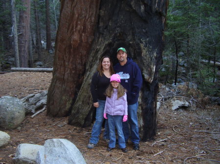 The Sequoia's Thanksgiving 07