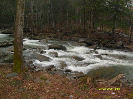 the cherry river