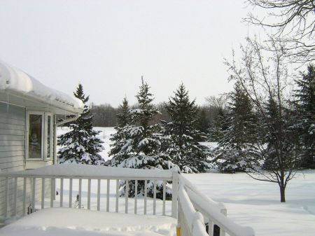 Robert Piotrowski's album, Snow in Minnesota