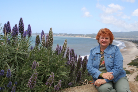 Pacific Coast Hwy in April 2008