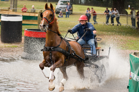 2006 Carriage Championships