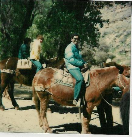 Grand Canyon Mule ride 1980