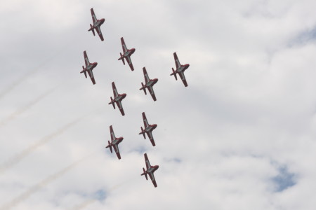 Snowbirds