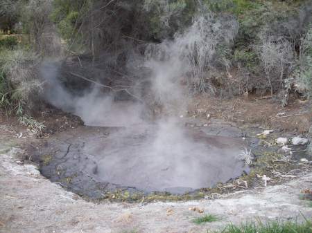Famous Rotorua boiling mud