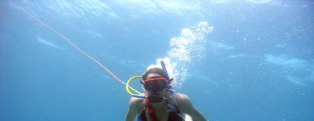diving aruba pics 2008 0170