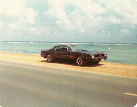 Trans Am 1976  Hawaii