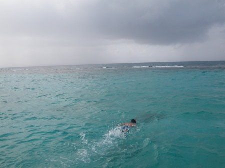 stingray alley, cayman islands