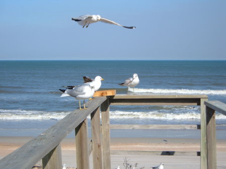 Jeffeny Metz's album, Ponte Vedra Beach