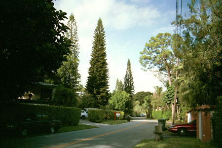 Fort Lauderdale Neighborhood