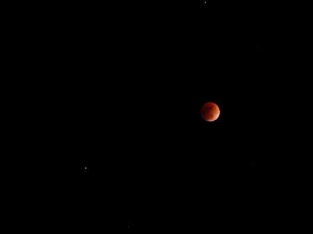 Total eclipse of my back yard.