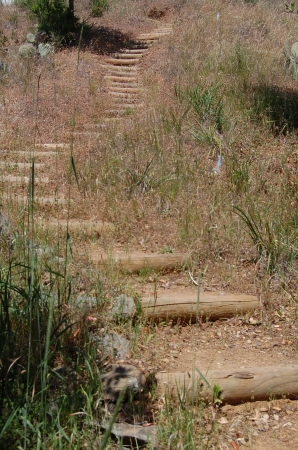 Hiking Trail