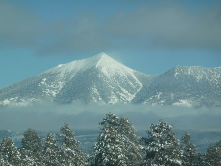 Snow Bowl