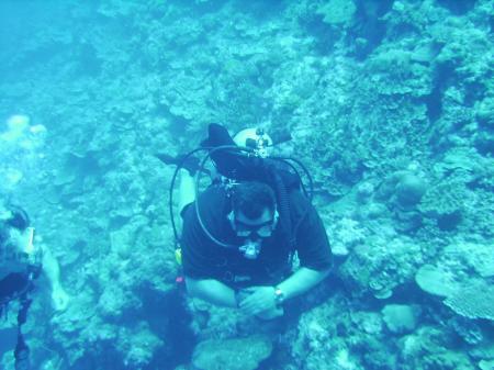 Diving In Republic of Palau 1
