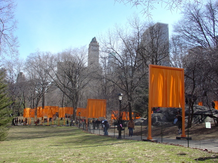 Flags in Central Park