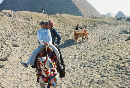 Camel ride at the Pyramids