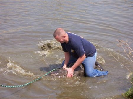 Jeff Wrastles an Alligator