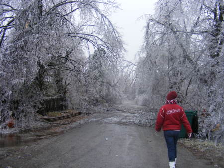 Ice Storm 07