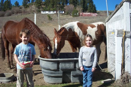 Kids and Horses