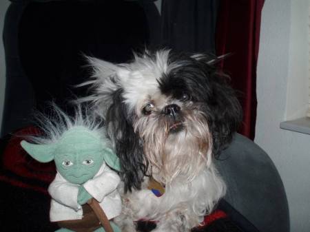 Delila imitating Yoda