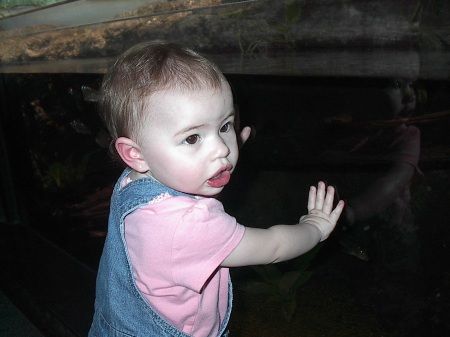 Elena at the mystic aqurium