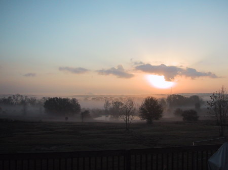 My Back Porch View