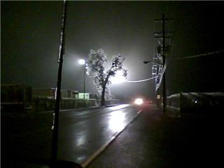 creepy ice storm tree